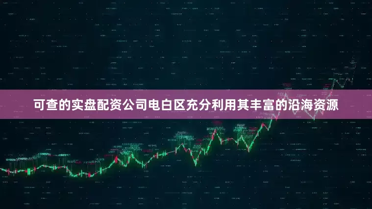 可查的实盘配资公司电白区充分利用其丰富的沿海资源