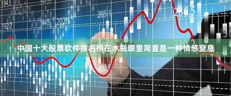 中国十大股票软件排名榜在水瓶眼里简直是一种情感窒息